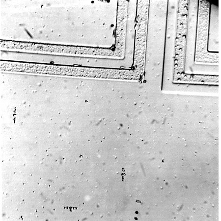 Precipitates and prismatic punching