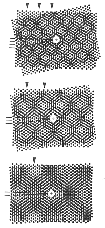 Moir�e model