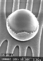 Metal particle on chip