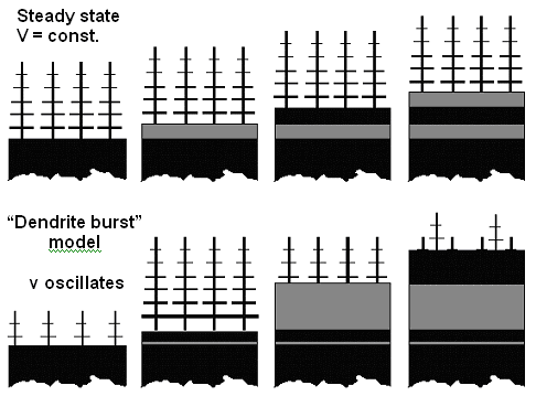 Dendrite bursts and Oscillating interface 
velOcity