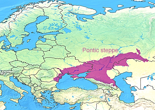 Pontic steppe