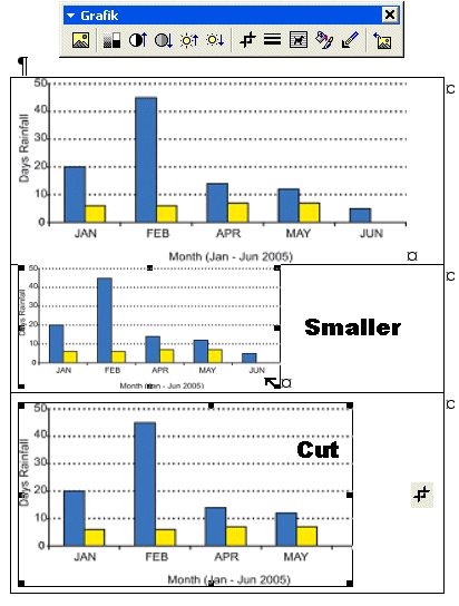 Changing size of embedded objects