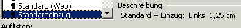 Standardeinzug Format