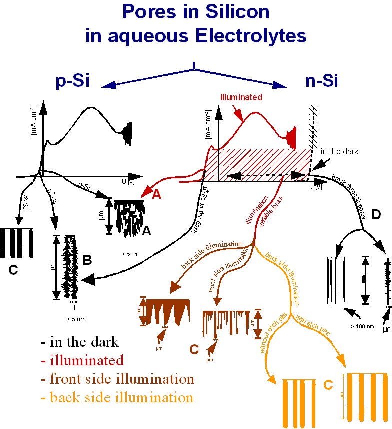 pores in Si