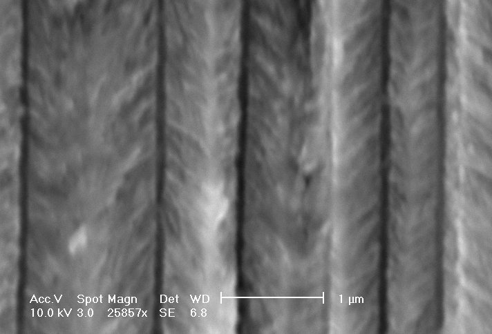mesopores