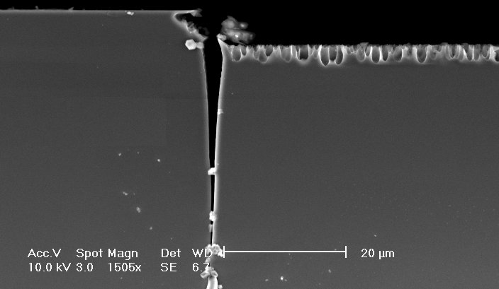 SEM micrograph