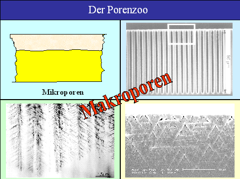 De Porenzoo
