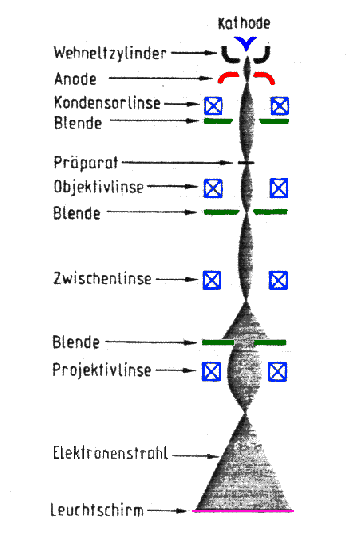 click to enlarge size