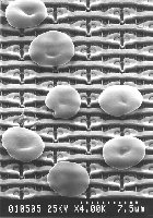 Blood cells on chip