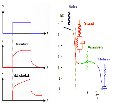 Zeitabh�ngigkeit 
der Polymerverformung