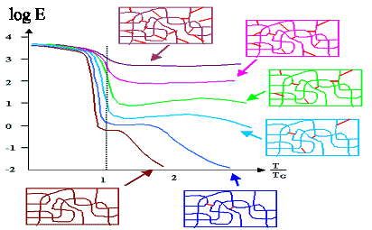 Gummielastizit�t und Vernetzungsgrad