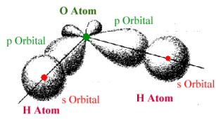 kovalente Bindung im Wassermolek�l