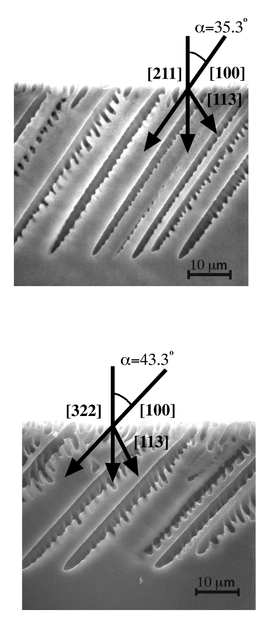 fig3.gif