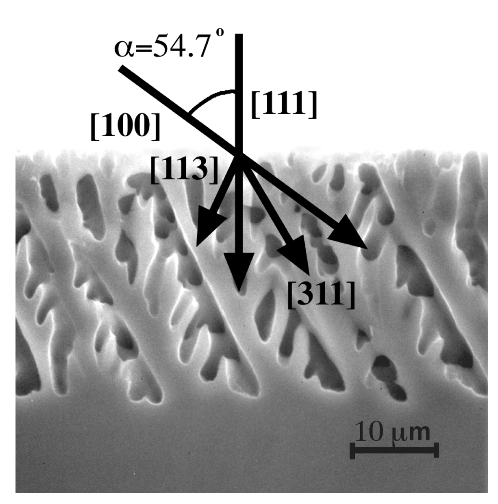 fig4.gif