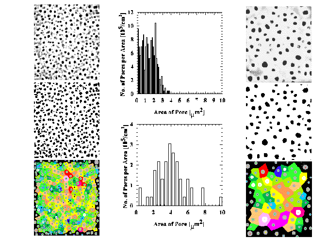Fig_4.gif