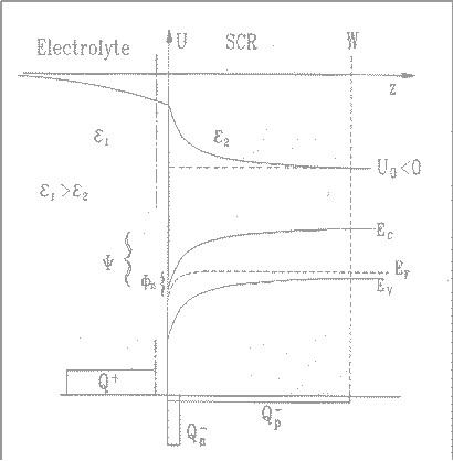 fig5.gif