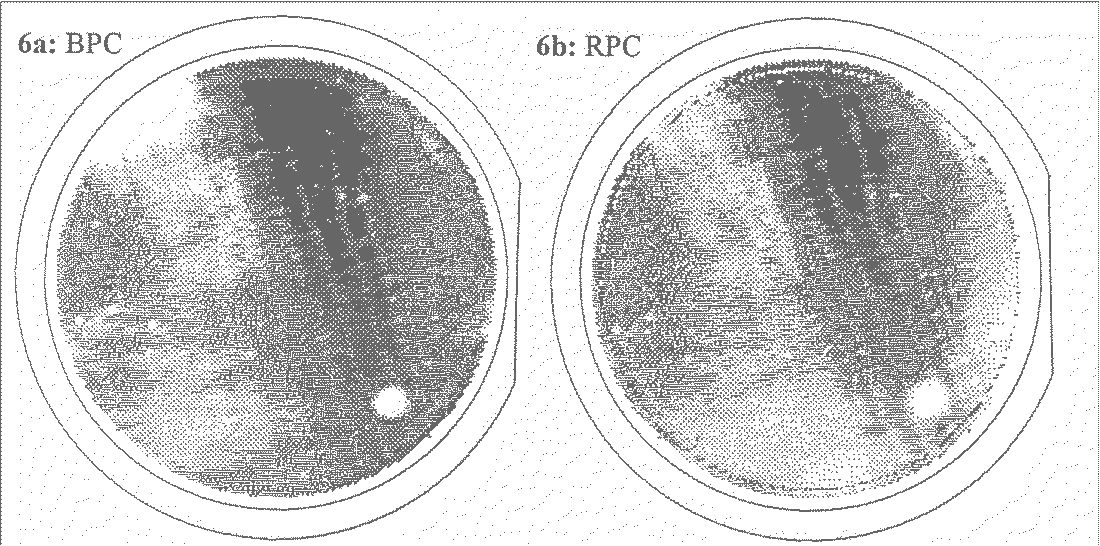fig6.gif