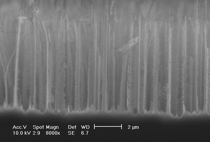 macropores on high doped n-Si