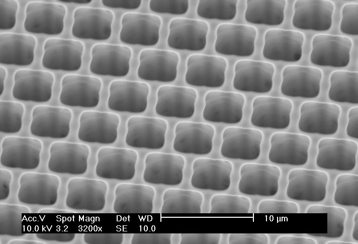 SEM micrograph of the sample