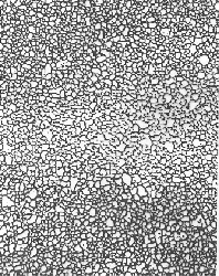 click to enlarge size Al on TiN