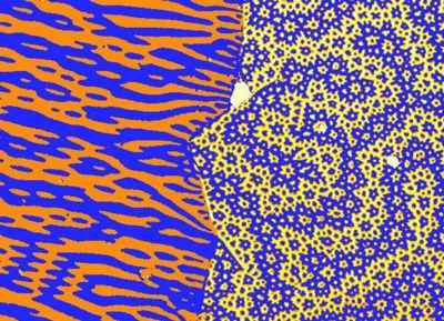 click to enlarge size NdFeB