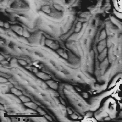 click to enlarge size Magnetic domains