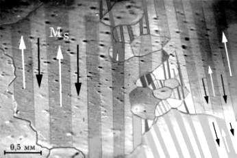 click to enlarge size Magneitc domains in Fe