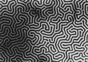 click to enlarge size Domain structure in Gd-Co alloy