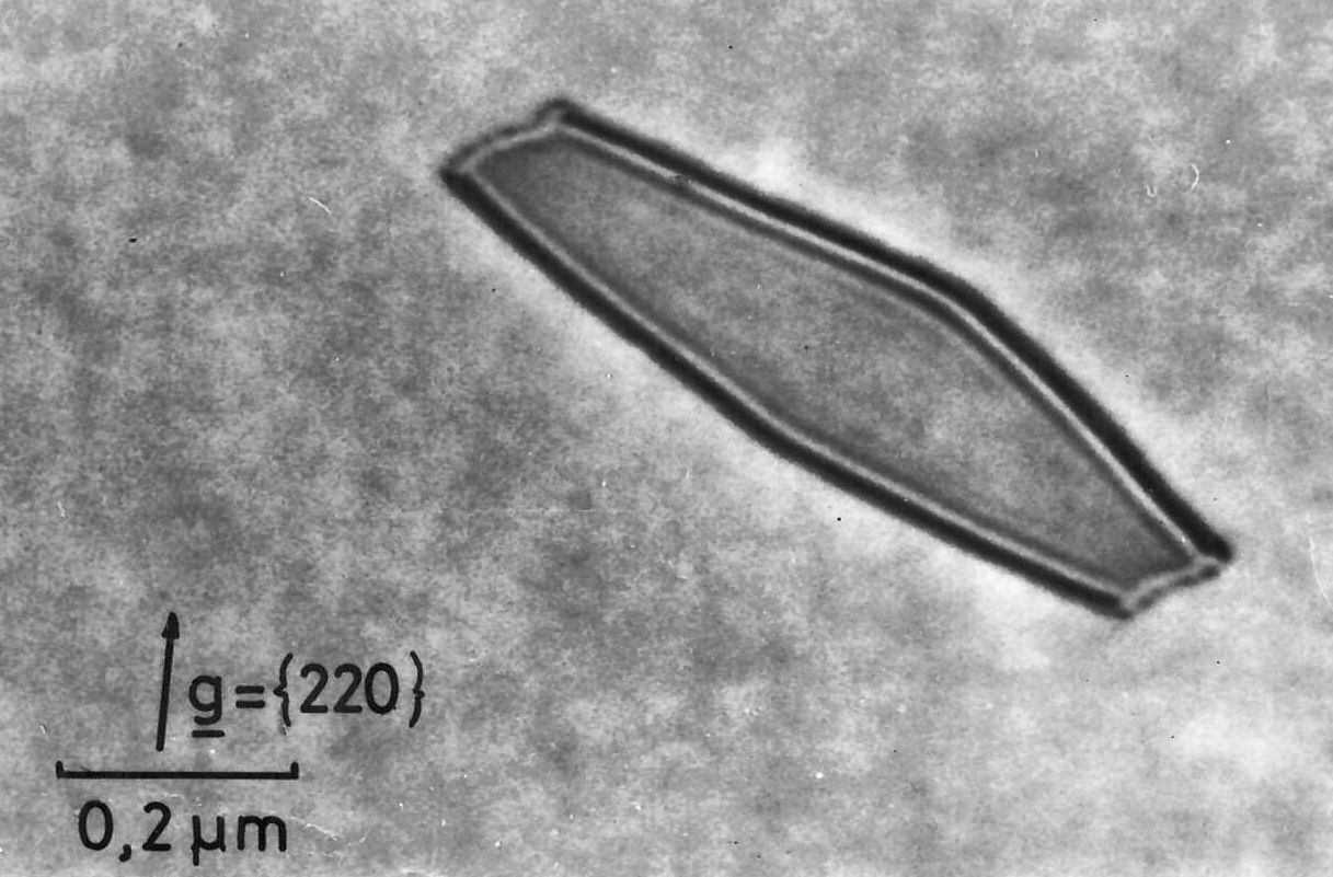 Pictures to: 2.3 Swirl Defects in Si (Investigated in a HVTEM; Part 1