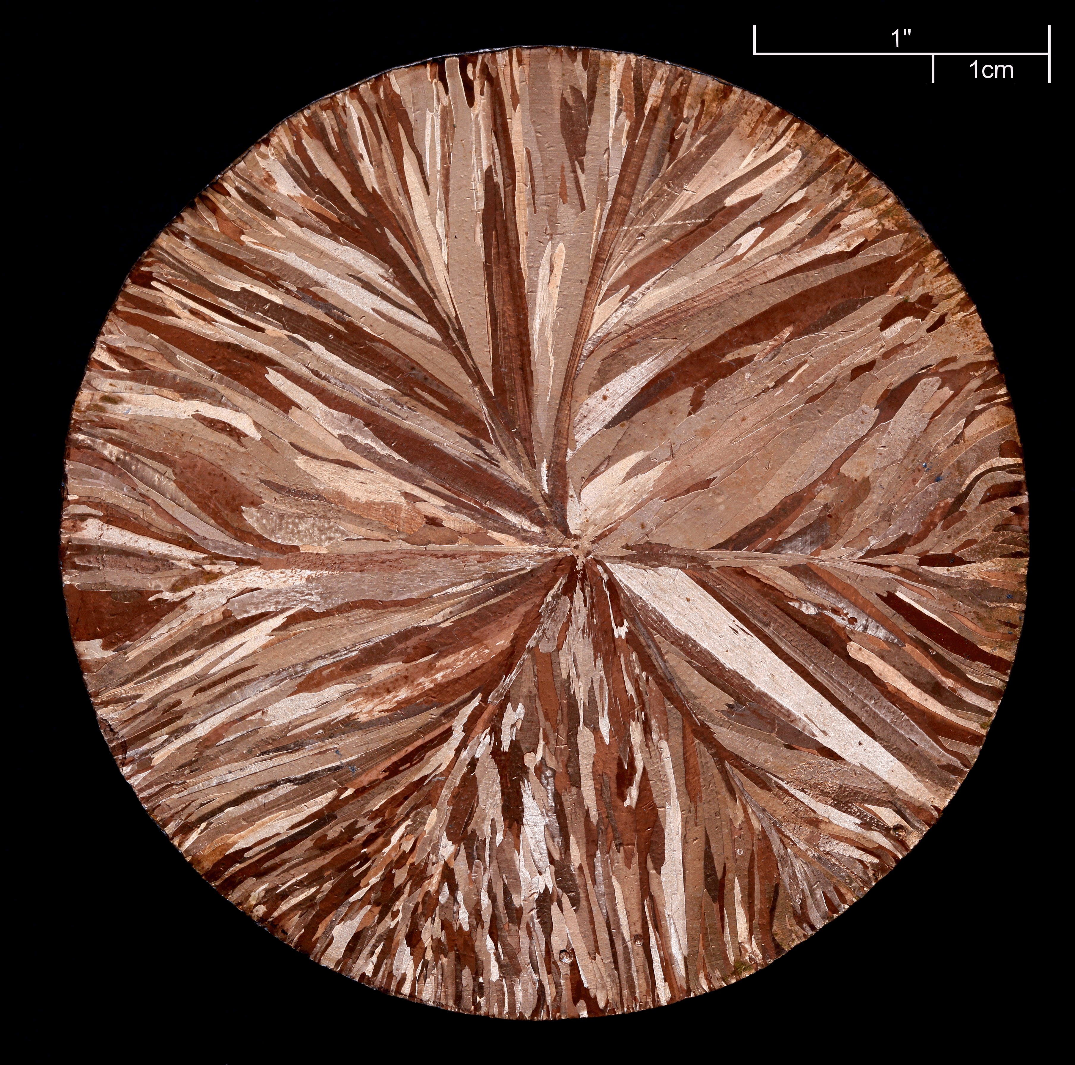Microstrucure of 
cast copper (Cu)