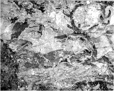 Catal H�y�k mural; original