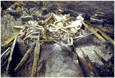 Nydam sacrifices in-situ; sword fence 