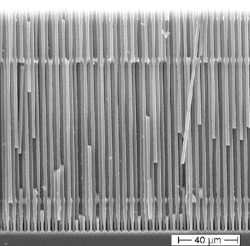 click to enlarge size Si nanowires